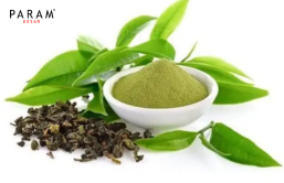 Green Tea Extract